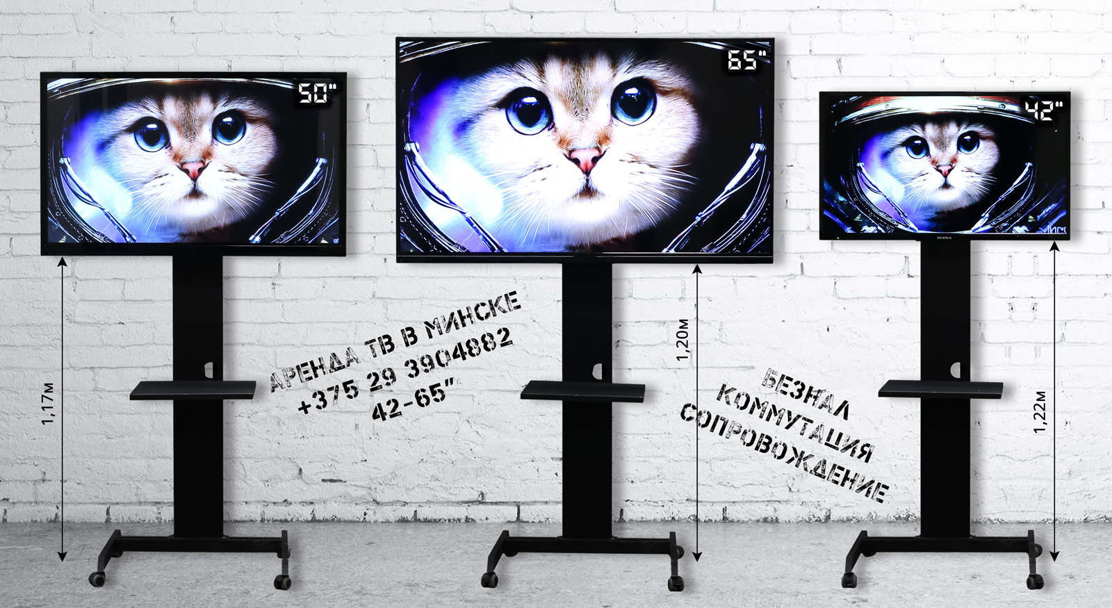 Телевизоры на прокат в Минске